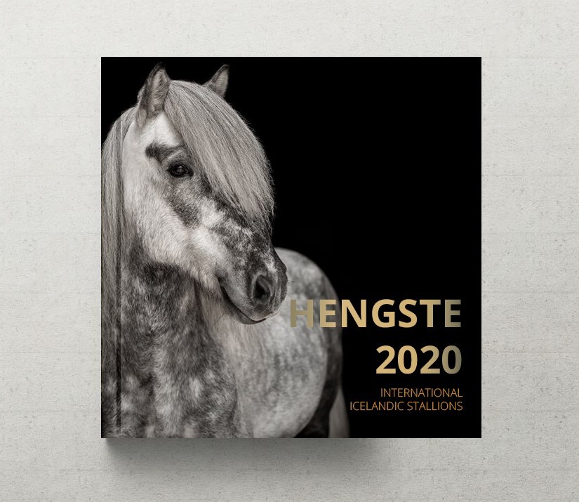 HENGSTE 2020 1