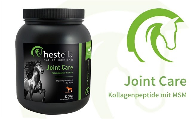 HESTELLA JOINT CARE, 1200 g/ Dose